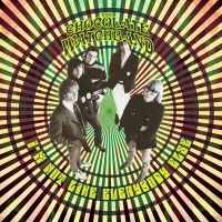 Hillage Steve - Madison Square Garden 1977 in der Gruppe CD bei Bengans Skivbutik AB (2250328)