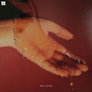 Hater - You Tried in der Gruppe VINYL bei Bengans Skivbutik AB (2251235)