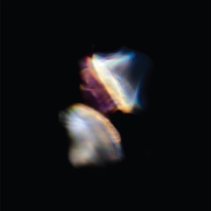 Emptyset - Borders in der Gruppe CD bei Bengans Skivbutik AB (2251270)