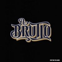 Il Brutto - Pay'em To Leave in der Gruppe VINYL bei Bengans Skivbutik AB (2255793)