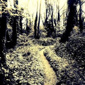 Nieri Luca - Luca Nieri in der Gruppe CD bei Bengans Skivbutik AB (2258625)