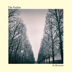 The Feelies - In Between in der Gruppe VINYL bei Bengans Skivbutik AB (2260119)