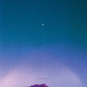 Invisible Boy - Invisible Boy in der Gruppe CD bei Bengans Skivbutik AB (2262846)