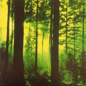 Thy Serpent - Forests Of Witchery in der Gruppe CD / Hårdrock bei Bengans Skivbutik AB (2263234)