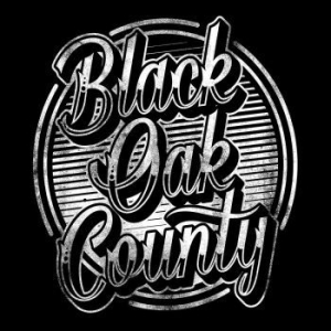 Black Oak County - Black Oak County in der Gruppe VINYL / Hårdrock/ Heavy metal bei Bengans Skivbutik AB (2263654)