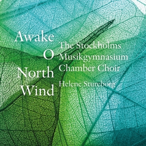 The Stockholm Musikgymnasium Chambe - Awake, O North Wind in der Gruppe Externt_Lager / Naxoslager bei Bengans Skivbutik AB (2263670)