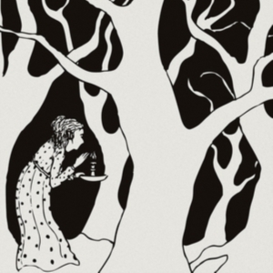 Shadow Band - Wilderness Of Love in der Gruppe CD bei Bengans Skivbutik AB (2278918)