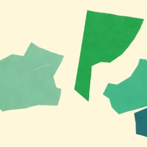 Shields Rob - Green in der Gruppe VINYL bei Bengans Skivbutik AB (2281147)