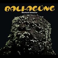 Schoener Eberhard - Bali Agung (Cd+Dvd) in der Gruppe CD bei Bengans Skivbutik AB (2287772)