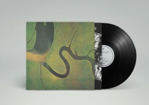 Dead Can Dance - The Serpent's Egg (Reissue) in der Gruppe VINYL bei Bengans Skivbutik AB (2298711)