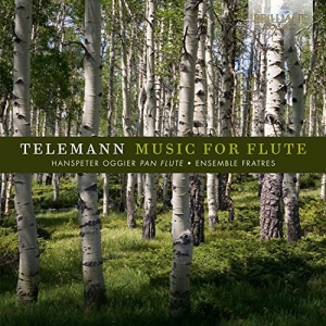 Hanspeter Oggier Ensemble Fratres - Music For Flute in der Gruppe CD bei Bengans Skivbutik AB (2298922)