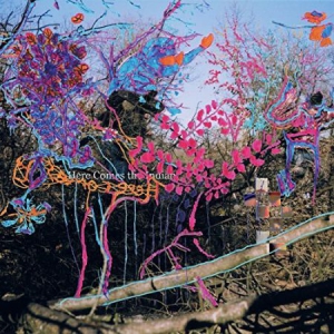 Animal Collective - Here Comes The Indian(Vinyl) in der Gruppe VINYL bei Bengans Skivbutik AB (2363601)