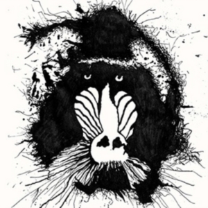 Feral Ohms - Feral Ohms in der Gruppe CD bei Bengans Skivbutik AB (2366323)
