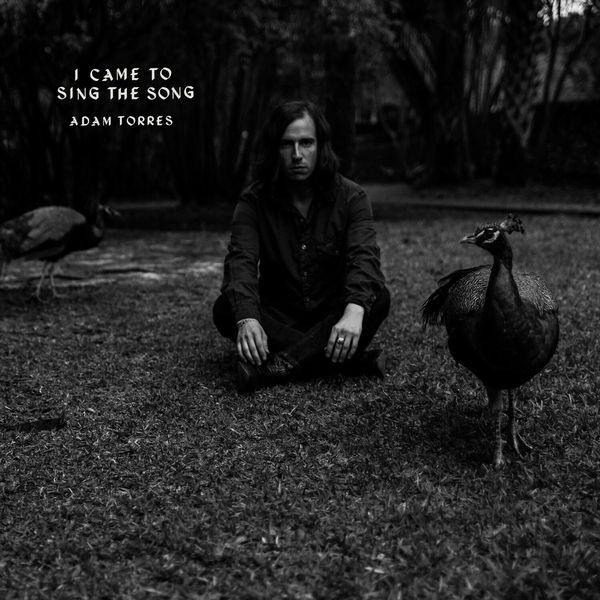 Adam Torres - I Came To Sing The Song in der Gruppe CD / Rock bei Bengans Skivbutik AB (2377247)