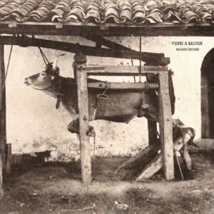 Pierre & Bastien - Musique Grecque in der Gruppe VINYL bei Bengans Skivbutik AB (2379881)