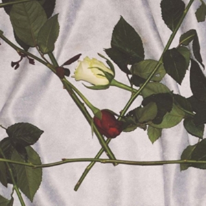 Chain Of Flowers - Cadwyn O Flodau (Clear Vinyl Editio in der Gruppe VINYL bei Bengans Skivbutik AB (2389670)