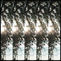 Pontiak - Dialectic Of Ignorance in der Gruppe VINYL bei Bengans Skivbutik AB (2391945)