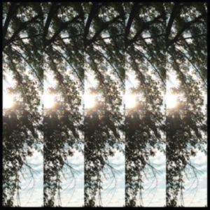 Pontiak - Dialectic Of Ignorance in der Gruppe CD bei Bengans Skivbutik AB (2391946)