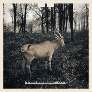 Bängks - Mirror Ep in der Gruppe VINYL bei Bengans Skivbutik AB (2391981)