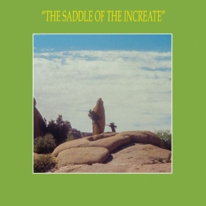 Sun Araw - Saddle Of The Increate in der Gruppe CD bei Bengans Skivbutik AB (2392778)
