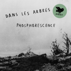 Dans Les Arbres - Phosphorensence in der Gruppe VINYL bei Bengans Skivbutik AB (2396046)