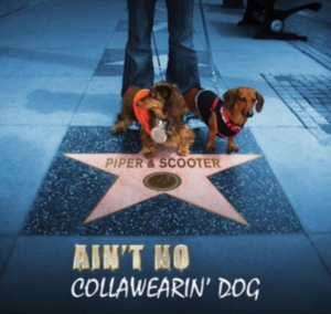 Piper & Scooter - Ain't No Collawearin' Dog in der Gruppe CD bei Bengans Skivbutik AB (2396880)