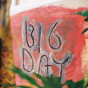 Loose Tooth - Big Day in der Gruppe VINYL bei Bengans Skivbutik AB (2400123)