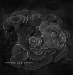Dauby Yannick - Coral House - Penghu Experimental S in der Gruppe VINYL bei Bengans Skivbutik AB (2400204)