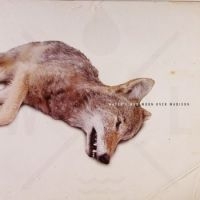 Water Liars - Moon Over Madison in der Gruppe VINYL bei Bengans Skivbutik AB (2403887)