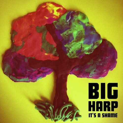 Big Harp - It's A Shame in der Gruppe VINYL / Rock bei Bengans Skivbutik AB (2404706)