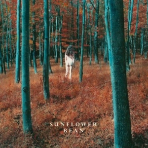 Sunflower Bean - I Hear Voices in der Gruppe VINYL bei Bengans Skivbutik AB (2404709)