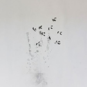 Ikeda Ken + David Toop - Skin Tones in der Gruppe CD bei Bengans Skivbutik AB (2404745)