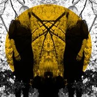 Austra - Feel It Break in der Gruppe VINYL bei Bengans Skivbutik AB (2405658)