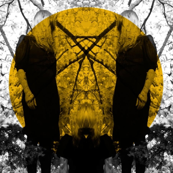 Austra - Feel It Break in der Gruppe VINYL / Bestseller bei Bengans Skivbutik AB (2405658)