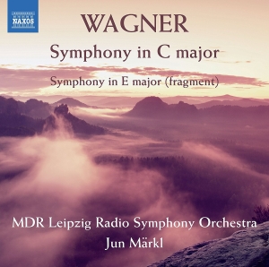 Mdr Leipzig Radio Symphony Orchestr - Symphony In C Major in der Gruppe CD bei Bengans Skivbutik AB (2405726)