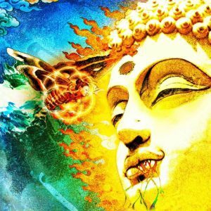 Gungfly - On Her Journey.. -Lp+Cd- in der Gruppe VINYL bei Bengans Skivbutik AB (2406956)