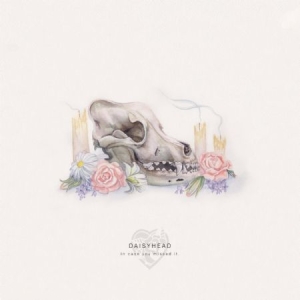 Daisyhead - In Case You Missed It in der Gruppe CD bei Bengans Skivbutik AB (2406979)