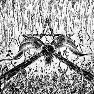 Cotton Wolf - Ofni in der Gruppe VINYL / Hårdrock/ Heavy metal bei Bengans Skivbutik AB (2414063)