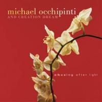 Occhipinti   Michael - Chasing After Light in der Gruppe CD bei Bengans Skivbutik AB (2414178)