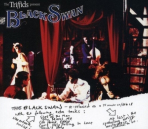 Triffids - Black Swan in der Gruppe CD bei Bengans Skivbutik AB (2414252)