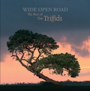 Triffids - Wide Open RoadBest Of in der Gruppe CD bei Bengans Skivbutik AB (2414254)