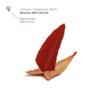 Collegium Vocale Gent Philippe Her - Motetten Bwv 225-230 (2 Lp) in der Gruppe VINYL bei Bengans Skivbutik AB (2414352)