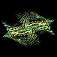 Bogus Order - Zen Brakes Vol. 2 in der Gruppe CD bei Bengans Skivbutik AB (2414833)