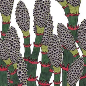 Part Chimp - Lv in der Gruppe CD / Rock bei Bengans Skivbutik AB (2417937)