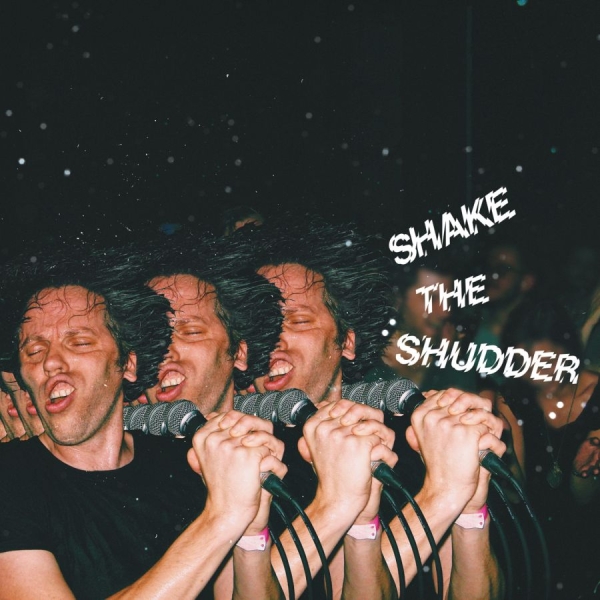 !!! (Chk Chk Chk) - Shake The Shudder (Transparent Viny in der Gruppe VINYL / Bestseller bei Bengans Skivbutik AB (2417961)