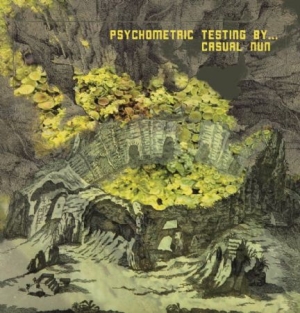 Casual Nun - Psychometric Testing By. in der Gruppe VINYL bei Bengans Skivbutik AB (2422531)