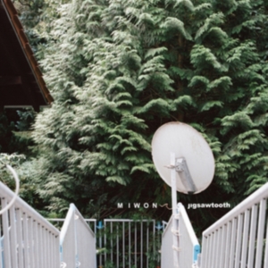 Miwon - Jigsawtooth in der Gruppe CD bei Bengans Skivbutik AB (2425241)