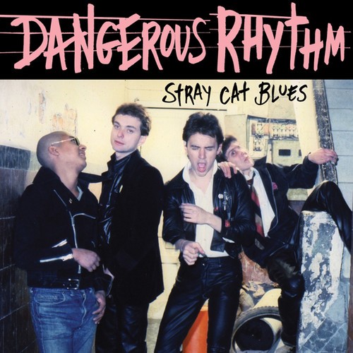 Dangerous Rhythm - Stray Cats Blues in der Gruppe VINYL / Rock bei Bengans Skivbutik AB (2429192)
