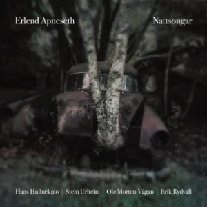 Apneseth Erlend - Nattsongar in der Gruppe CD bei Bengans Skivbutik AB (2430438)