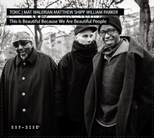 Toxic - This Is Beautiful Because We Are Be in der Gruppe CD bei Bengans Skivbutik AB (2433407)
